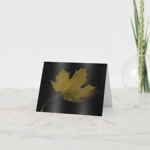 Lonely Maple Leaf Note Card