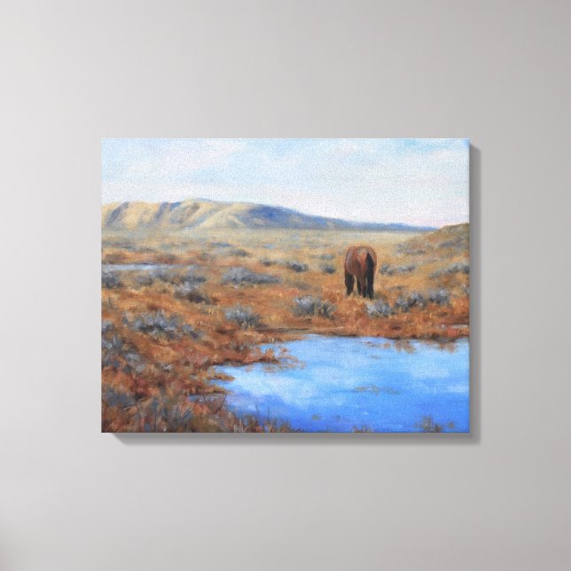 Lonely Pasture Stretched Canvas Print (Front)