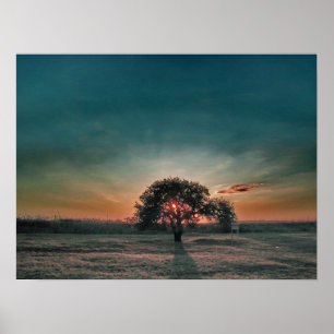 Lonely pear tree poster