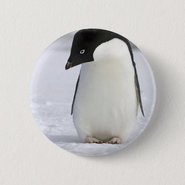 Lonely Penguin Pin (Front)