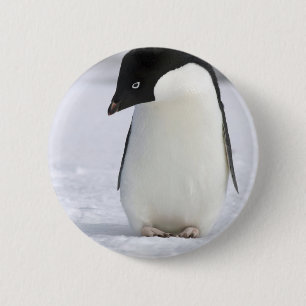 Lonely Penguin Pin