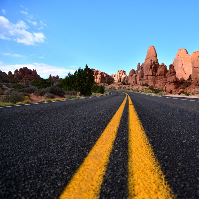 Lonely Road in Arches National Park Canvas Print (Creator Uploaded)