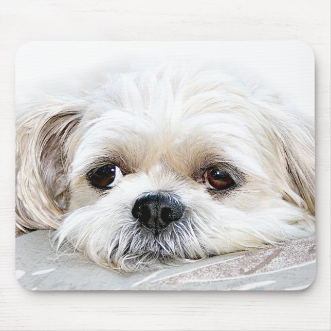 lonely shih tzu mousepad (Front)