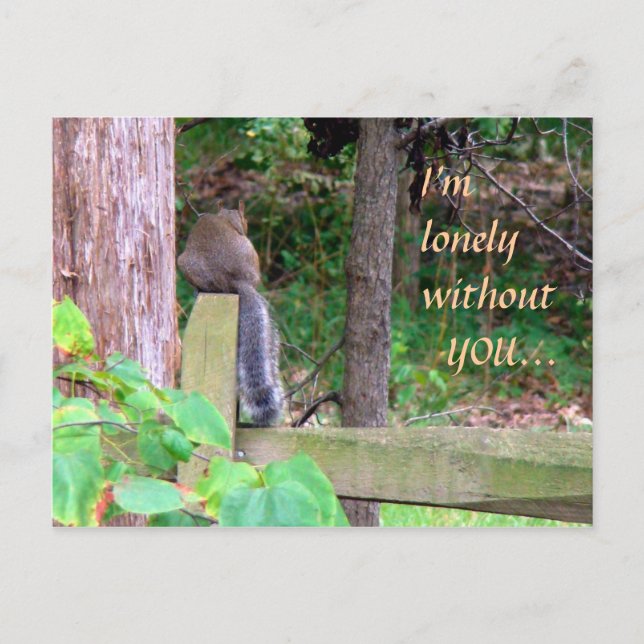 Lonely Squirrel Postcard (Front)