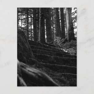 Lonely Stair Way Postcard