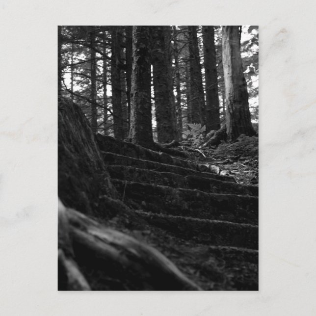 Lonely Stair Way Postcard (Front)
