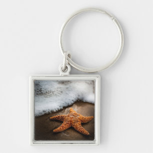 Lonely Starfish On The Beach Key Ring