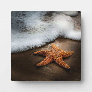 Lonely Starfish On The Beach Plaque