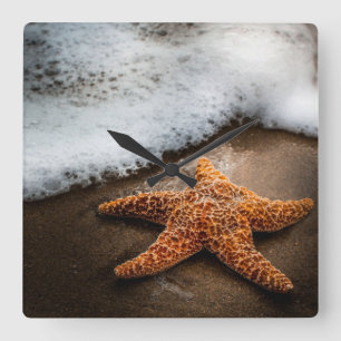 Lonely Starfish On The Beach Square Wall Clock
