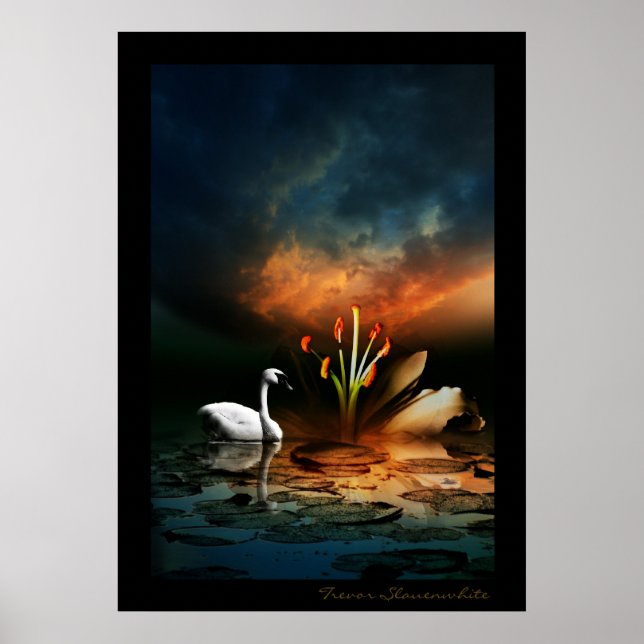 Lonely Swan Poster (Front)