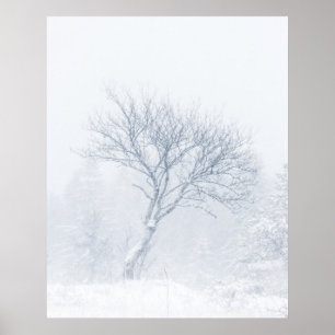 Lonely tree during snow storm in winter poster