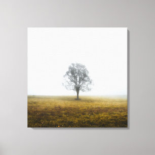 Lonely tree in a foggy autumn morning canvas print