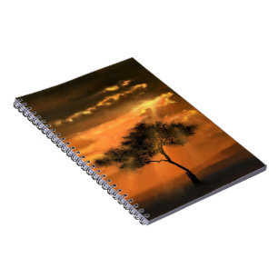 Lonely Tree Sunbeams - Drawing Art Collection Notebook