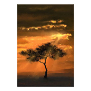 Lonely Tree Sunbeams Photo Print