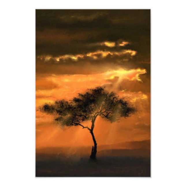 Lonely Tree Sunbeams Photo Print (Front)