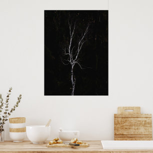Lonely white tree poster