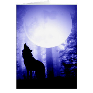 Lonely Wolf Howling at Moon