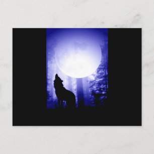 Lonely Wolf Howling at Moon Postcard