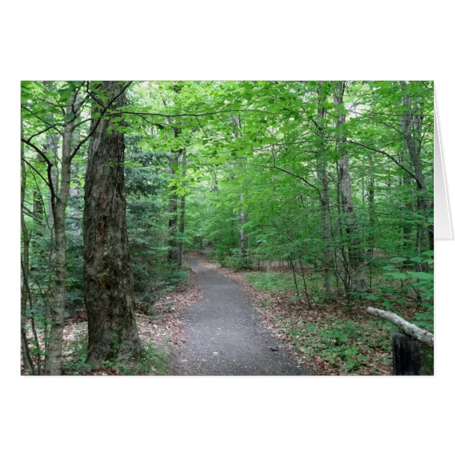 Lonesome Lake Trail in New Hampshire (Front Horizontal)
