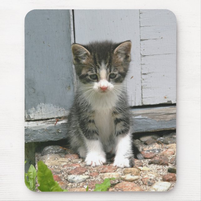 Lonesome Sad Gershwin Kitty Cat Kitten Mousepad (Front)