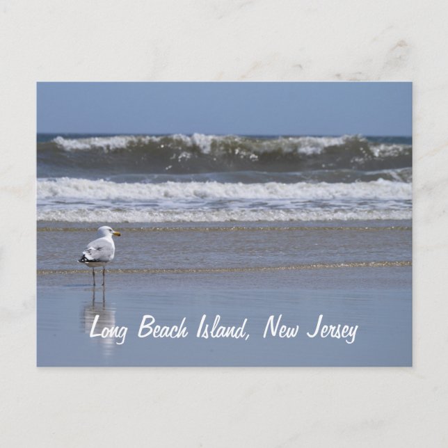 Long Beach Island, NJ Postcard (Front)