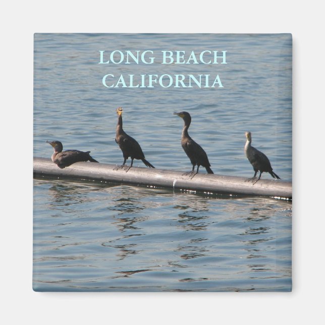 Long Beach Magnet!!! Magnet (Front)