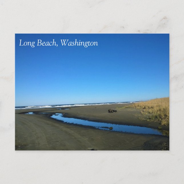 Long Beach, Washington Postcard (Front)