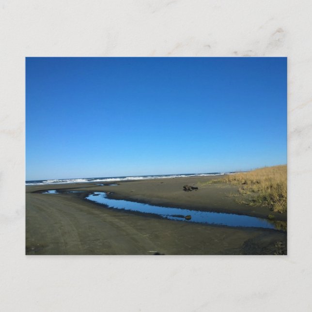 Long Beach, Washington Postcard (Front)