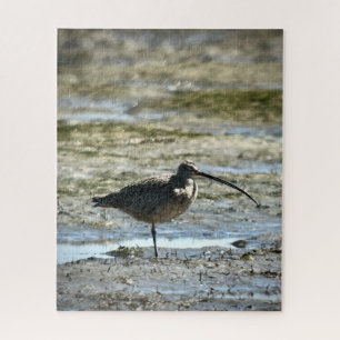 Long-billed Curlew Jigsaw Puzzle
