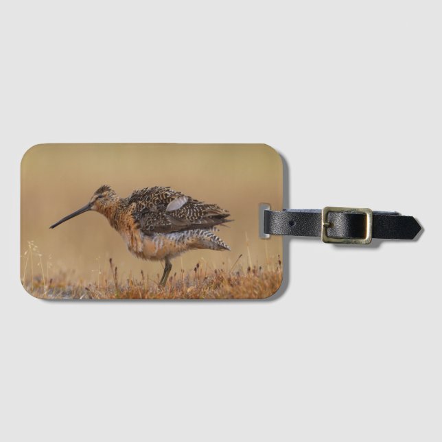 Long-billed Dowitcher Luggage Tag (Front Horizontal)