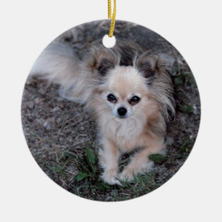 Long Coat Chihuahua Ceramic Tree Decoration