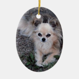 Long Coat Chihuahua Ceramic Tree Decoration