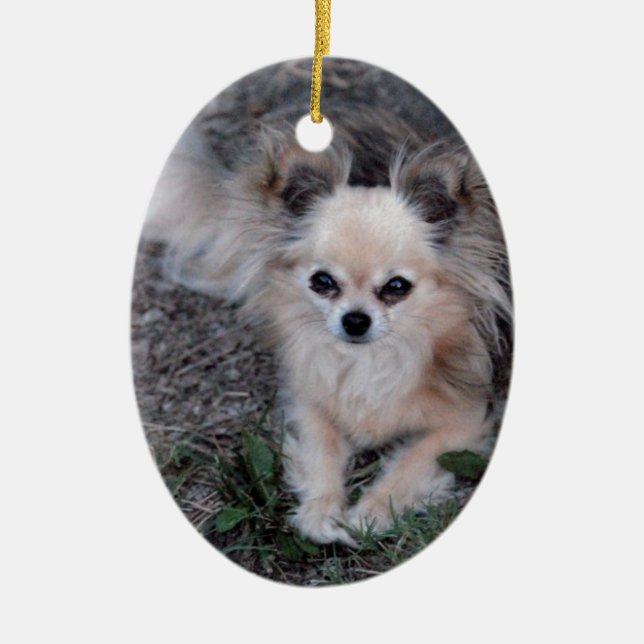 Long Coat Chihuahua Ceramic Tree Decoration (Front)
