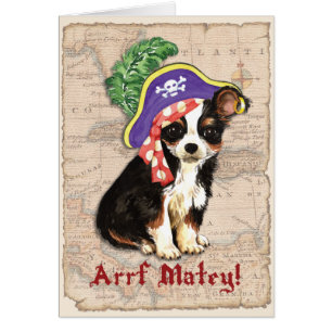Long Coat Chihuahua Pirate Card