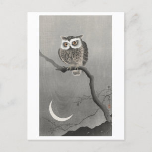 Long-Eared Owl at Night Vintage Postcard