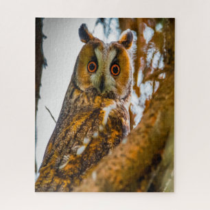 Long Eared Owl- Birds of Prey. Jigsaw Puzzle