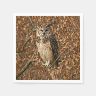 Long-eared Owl Hiding in Brown Leaves Napkin