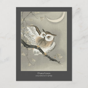 Long-eared owl in ginkgo - Charcoal - Ohara Koson Postcard