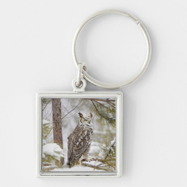 Long eared owl key ring (Front)