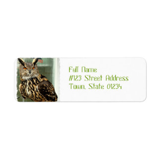Long Eared Owl Mailing Labels