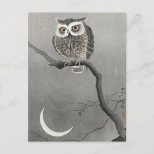 Long-eared Owl on Bare Tree Branch by Ohara Koson Postcard