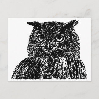 Long Eared Owl Postcard