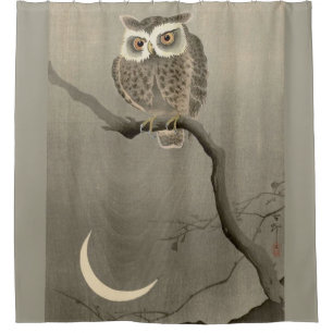 long-eared owl print shower curtain