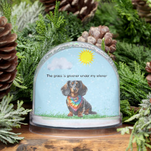 LONG HAIR BLACK AND TAN DACHSHUND SNOWGLOBE