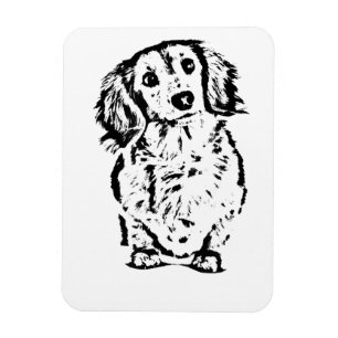Long Hair Dachshund Lover Gift Doxie Mum Dad Cute Magnet
