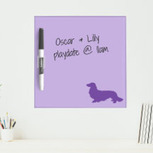 Long Hair Dachshund Purple Office White Board