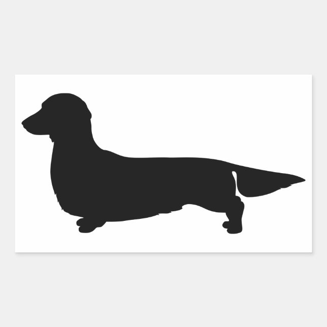 Long Hair Dachshund Rectangle Sticker (Front)