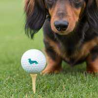 Long Hair Dachshund Teal Golfer Gift