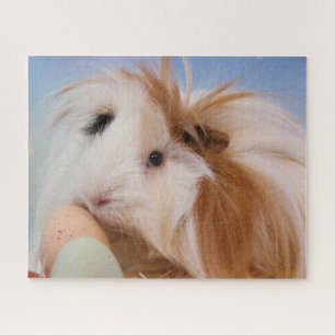 Long Hair Guinea Pig Jigsaw Puzzle