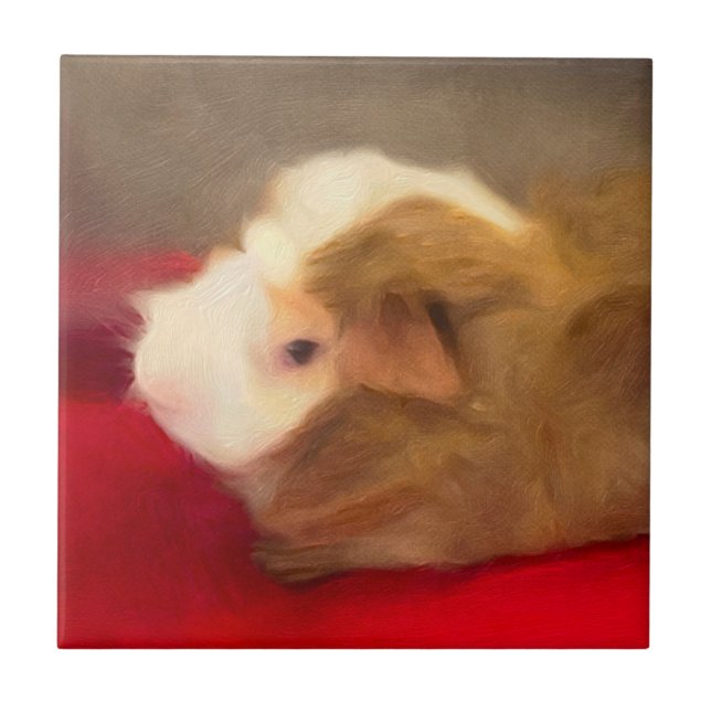 Long Hair Guinea Pig Tile (Front)